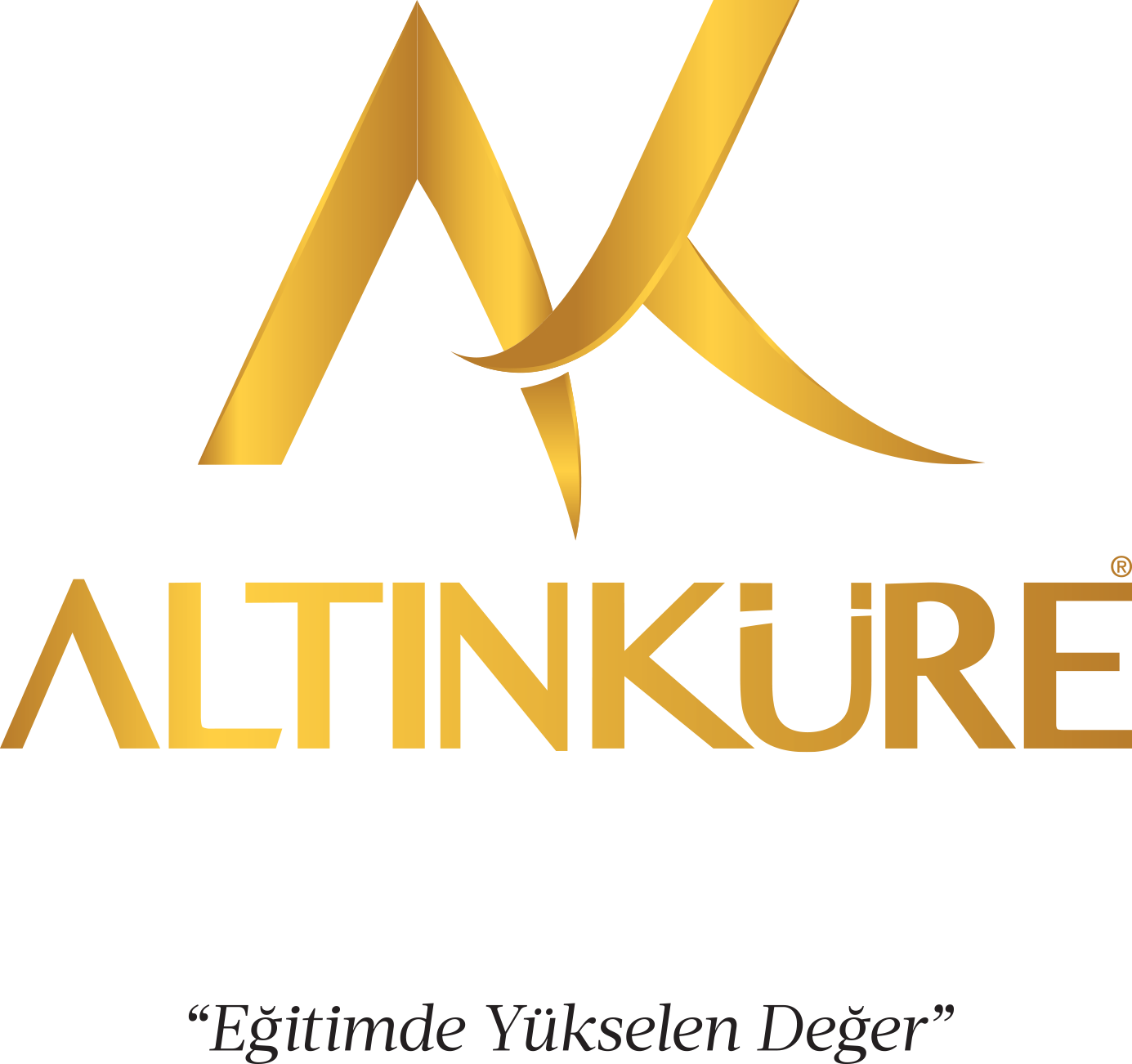 Altinkure Okullari logosu